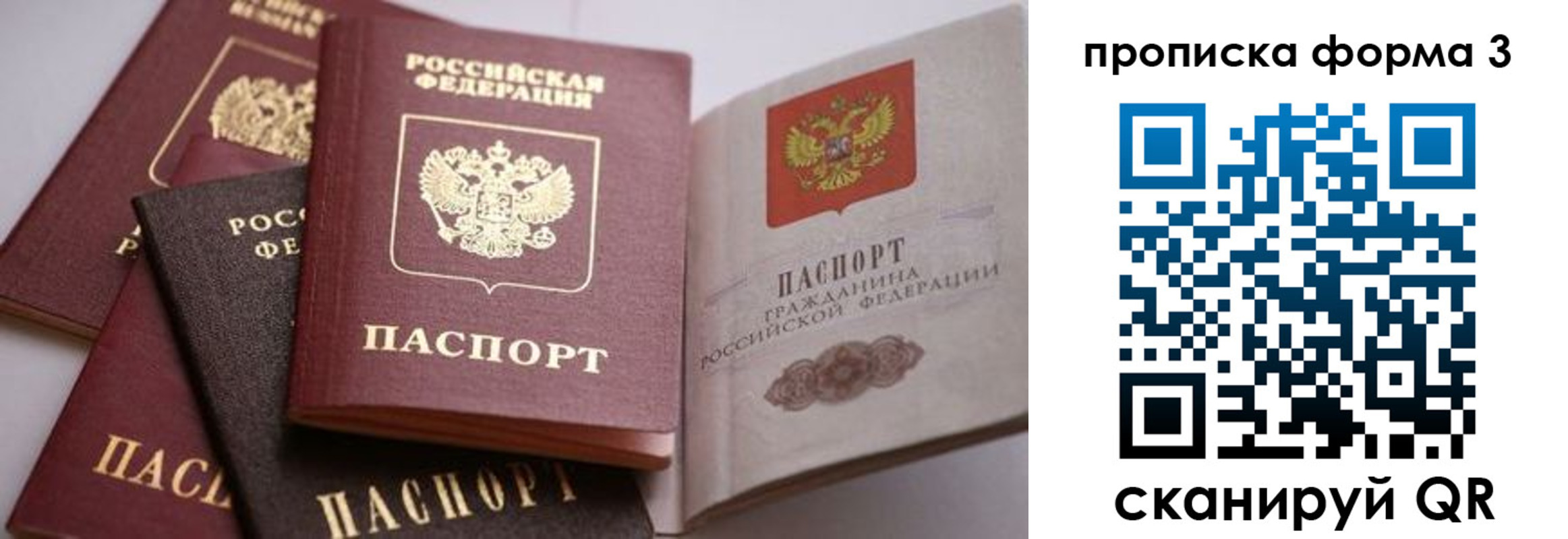 прописка для школы в Тульской области